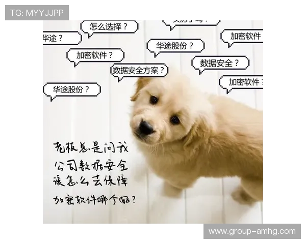 皇冠手机官网app下载，安全便捷的官方软件下载渠道推荐与优化方案