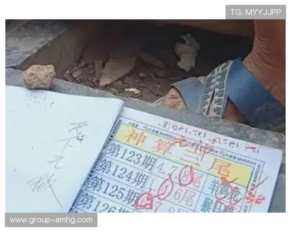 掌握六合彩经网的核心玩法与投注技巧，轻松应对各种开奖挑战提升中奖率